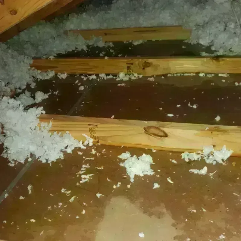 Attic Water Damage in Wells, NV