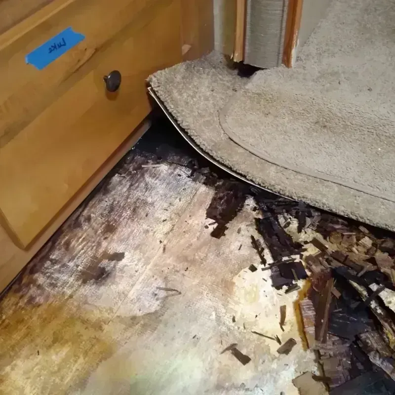 Wood Floor Water Damage in Wells, NV